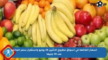 أسعار الفاكهة في أسواق مطروح الاثنين 28 يوليو واستقرار سعر المانجو عند 30 جنيها